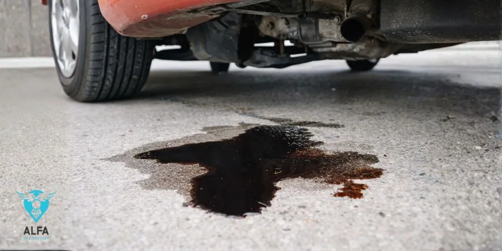 سرویس خودرو